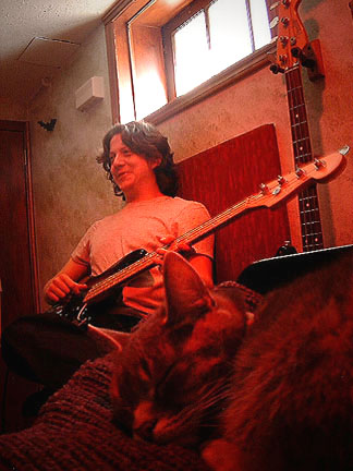 Mike adds his bass- Piggie the cat is unimpressed!