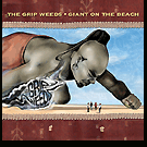 Giant On The Beach