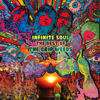 INFINITE SOUL: THE BEST OF THE GRIP WEEDS 