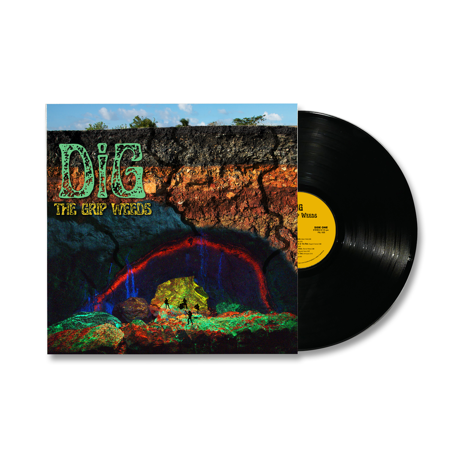 DiG (LP)